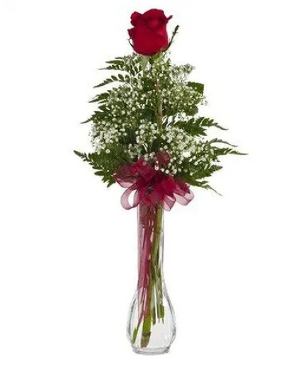 Single Rose Bud Vase Rose Arrangement