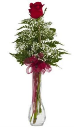 Single Rose Budvase rose