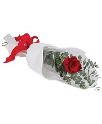 Single Rose Cut Bouquet