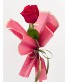 Single rose  One rose  with Korean paper