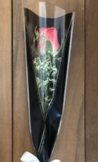 Single Rose Sleeve Rose