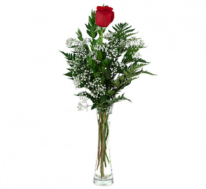 Single Rose - 972 Vase arrangement 