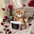 Single stem preserved Rose add-on options chocolates and bear 
