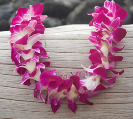 Single Stranded Bombay Orchid Lei Floral