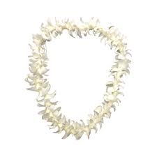 Single White Orchid Lei 