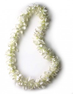 single white orchid lei lei
