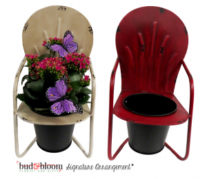 Sitting Pretty Blooming Plant in Mooresville, IN | BUD AND BLOOM FLORIST AND GIFTS Sitting Pretty Blooming Plant in Mooresville, IN | BUD AND BLOOM FLORIST AND GIFTS