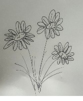 Six Months Of Flowers 
