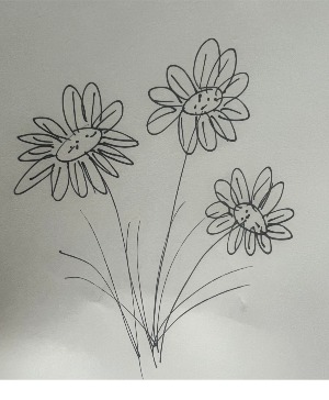 Six Months Of Flowers 