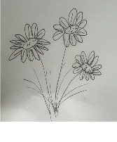 Six Months Of Flowers (Hand-Tied Bouquet) 