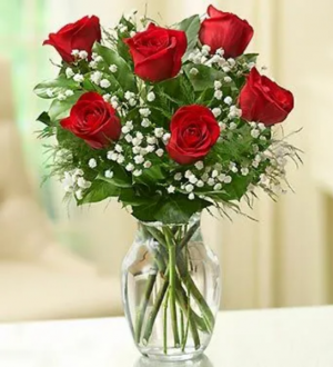 SIX STEMS OF RED ROSES ROSES
