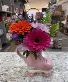 Skating into your heart Gerbera Daisies in Roller Skate Vase 