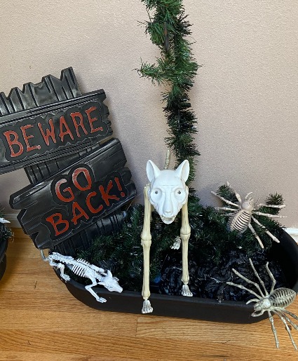 skelly cat and friends rental planter