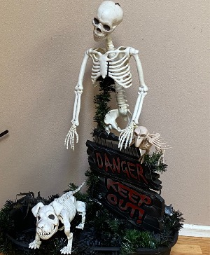 skelly with dog  rental planter