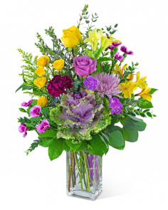 Category Image