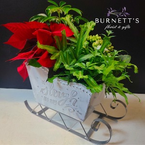 Sleigh All Day Planter