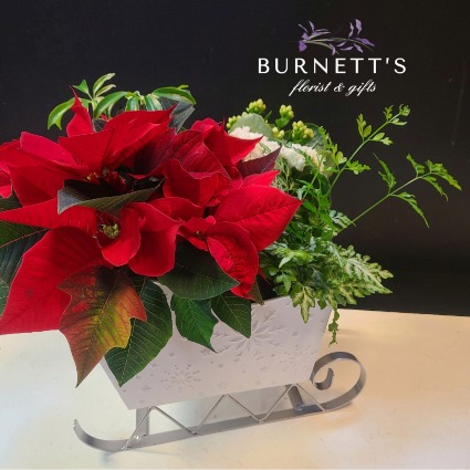 Sleigh All Day Planter