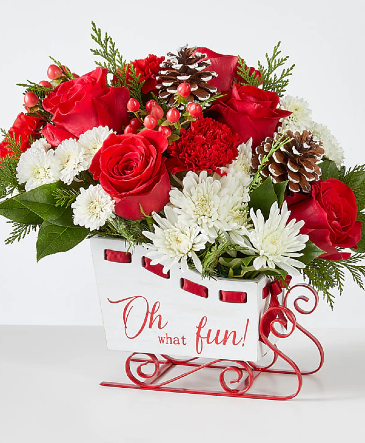 Sleigh bells  mesa apache junction gold canyon  in Apache Junction, AZ | No Reason Why Flowers