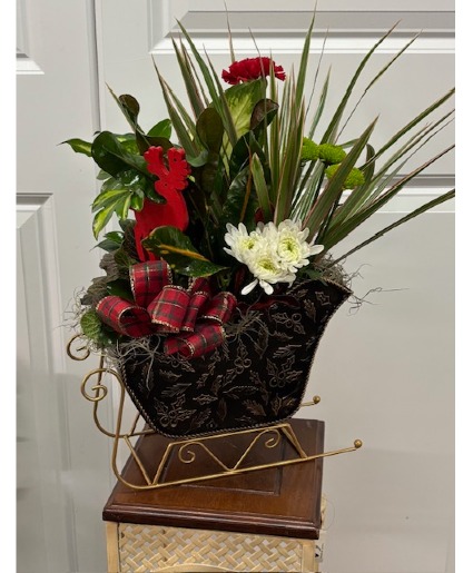 Sleigh Bells Ring Dish Garden