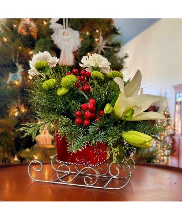 Sleigh Ride  in Mazomanie, WI | B-STYLE FLORAL AND GIFTS