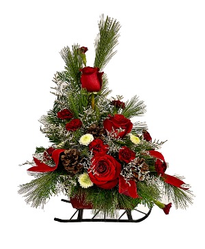 Sleigh Ride BUD & BLOOM SIGNATURE ARRANGEMENT in Franklin, IN | BUD AND BLOOM SOUTH INC. Sleigh Ride BUD & BLOOM SIGNATURE ARRANGEMENT in Franklin, IN | BUD AND BLOOM SOUTH INC.
