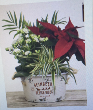 sleigh ride planter