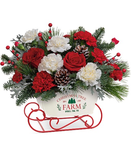 Sleigh The Season T23X305