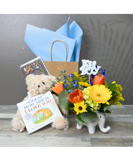 Baby Boy - Little Gift Set