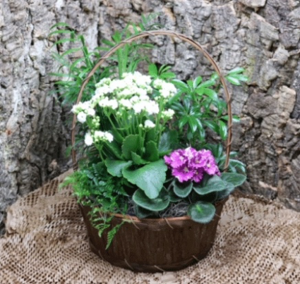 small Basket euro garden