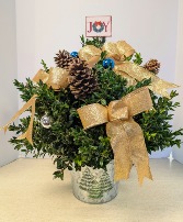 Small Lighted boxwood tree  NFS-C31