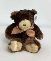 Small Brown Teddy Bear 
