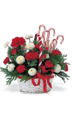 Small Candy Cane Basket  in Olathe, KS | FLOWER MAN