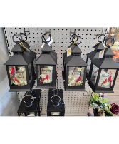 Small Cardinal Lantern Lantern