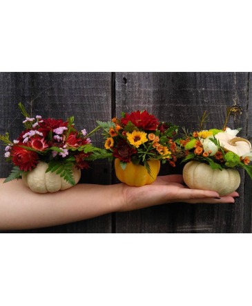 Small Ceramic Pumpkins Centerpiece, Thanksgiving in Lakefield, ON | LAKEFIELD FLOWERS & GIFTS