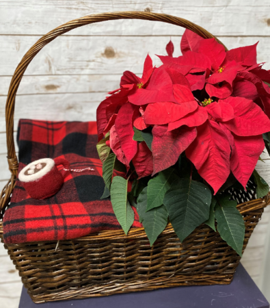 Small Christmas Basket Gift