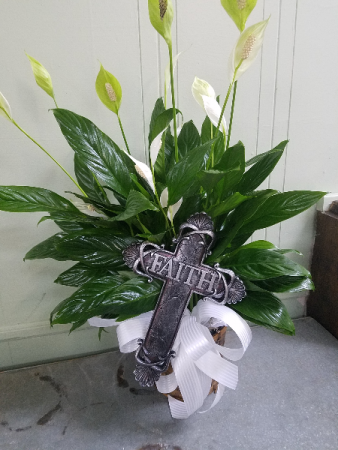 Small Cross of Faith Plant Green Plant