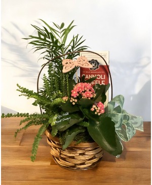 Small EuroGarden Plant baskets 