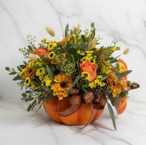 Small fall pumpkin  Thanksgiving/Fall