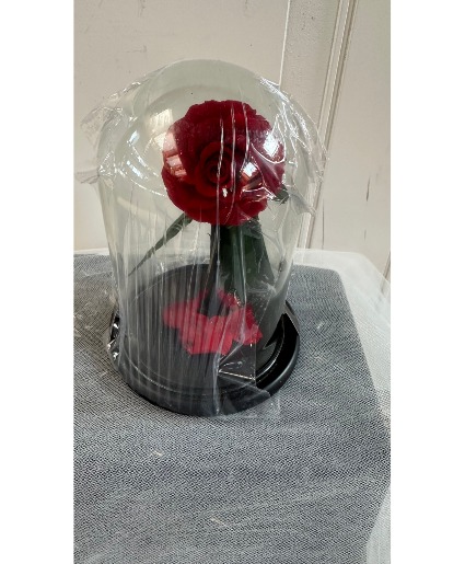 Small forever rose globe Forever Roses