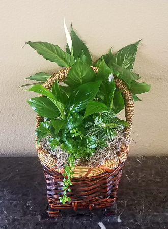 Small Garden Basket Just Made For You!