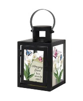 Small Lantern with Calla Lilly and Butterflies 