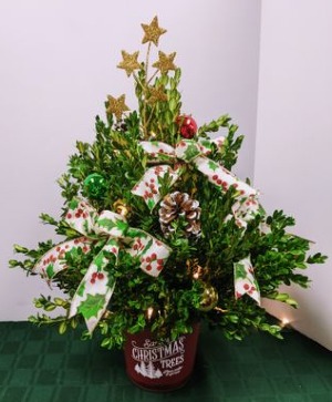 Small Lighted Boxwood Tree  -  NFS-C30 Boxwood Tree