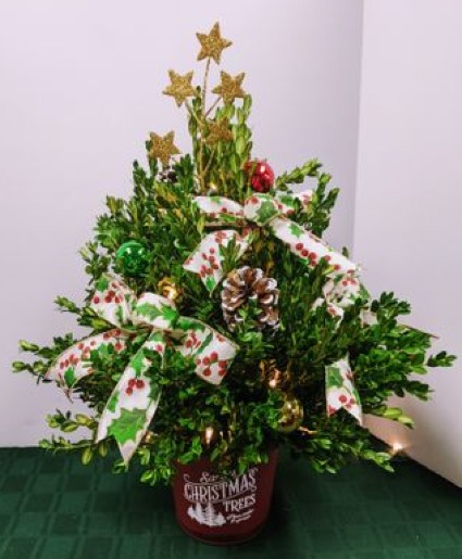 Small Lighted Boxwood Tree  -  NFS-C30 Boxwood Tree