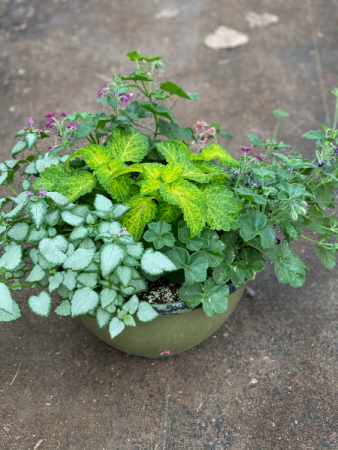 Small outdoor planter
