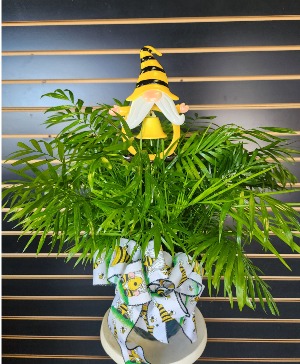 Small Palm with Gnome 