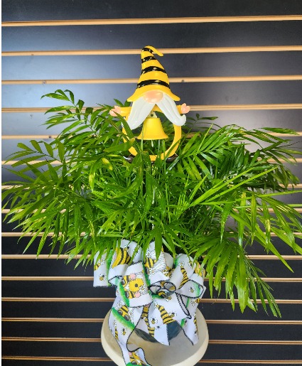 Small Palm with Gnome