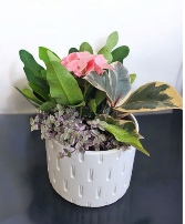 Small Planter Garden Plant