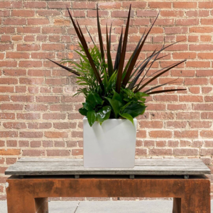 Planter in Pottery