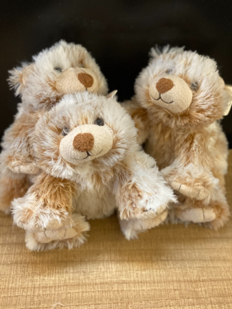 Small plush bear