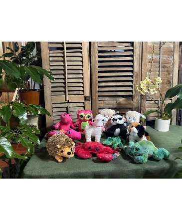 Small Plush Selections  in New Orleans, LA | HARKINS THE FLORIST